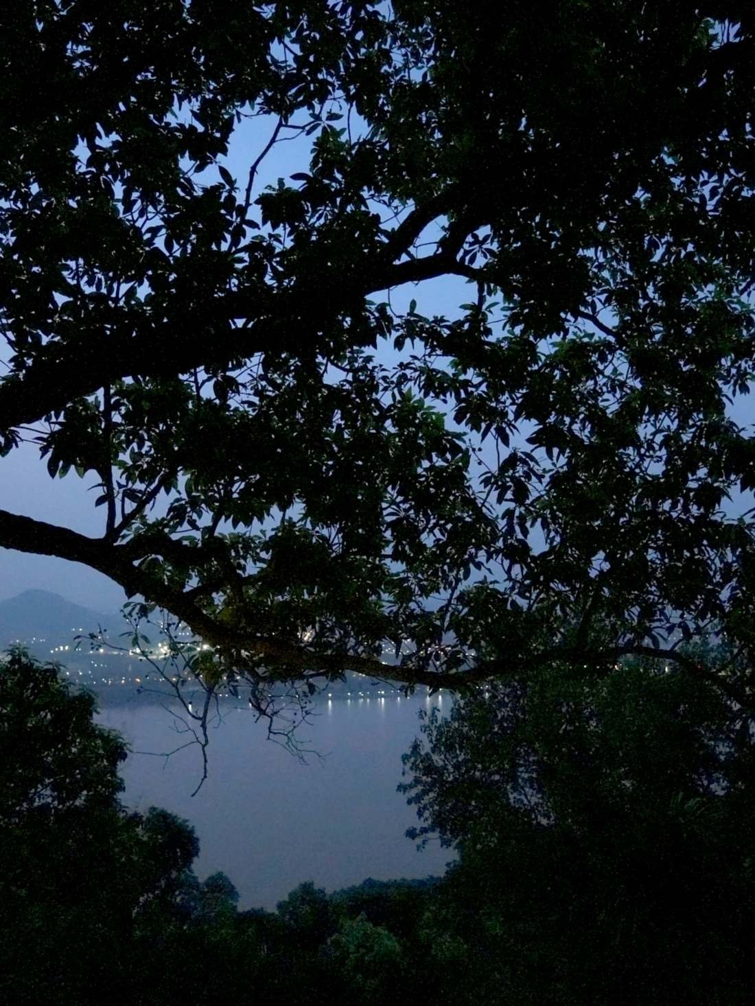 Dusk over the Brahmaputra, seen through the trees below the hotel
